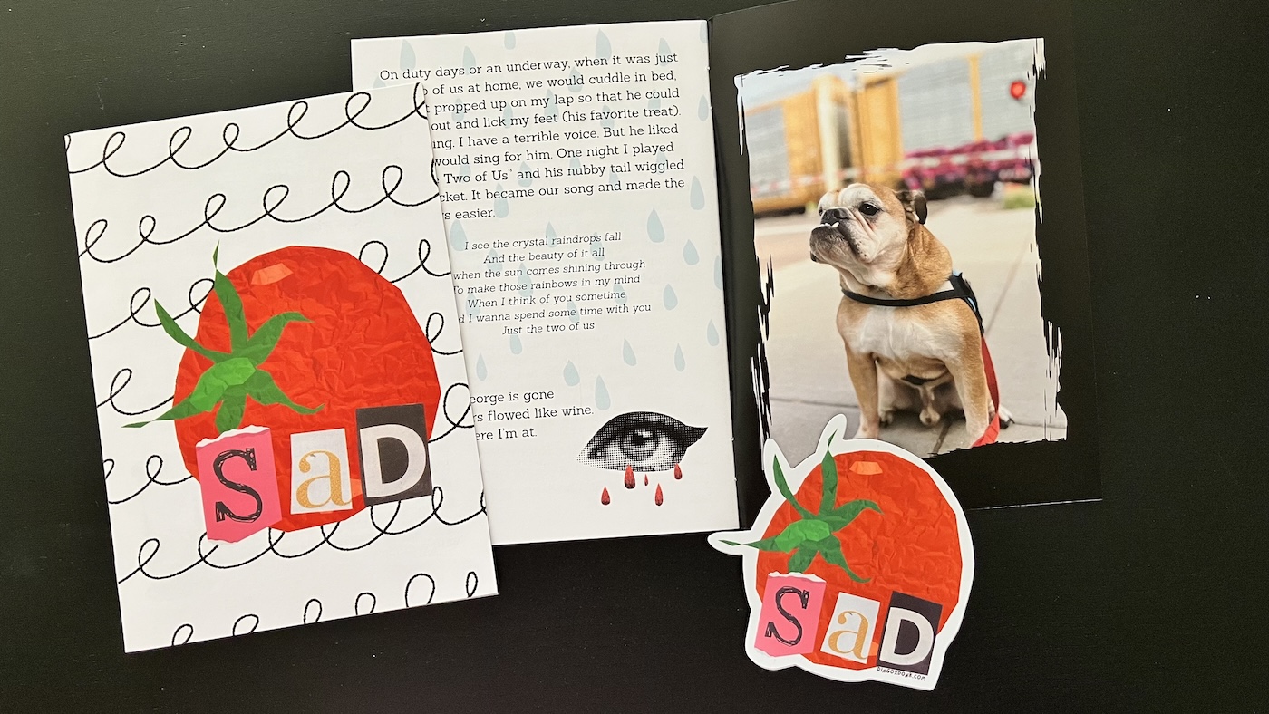cover of sad tomato